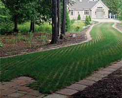 Turfstone™ Collection